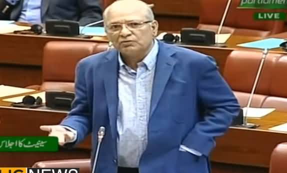Mushahid Ullah Khan Complete Speech in Senate - 9th May 2019