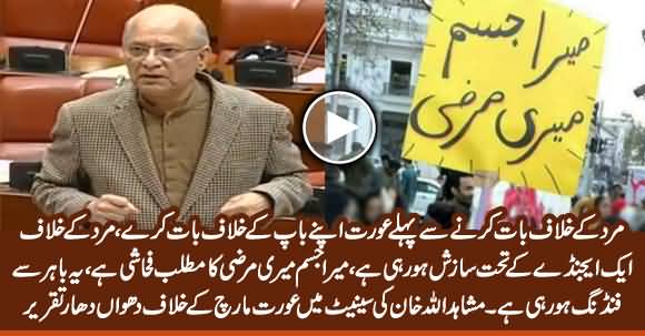 Mushahid Ullah Khan's Blasting Speech Against Aurat March in Senate