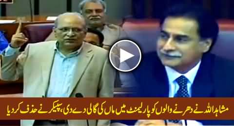 Mushahidullah Khan Abusing PTI & PAT Sit-in Participants in Parliament, Speaker Expunge His Words