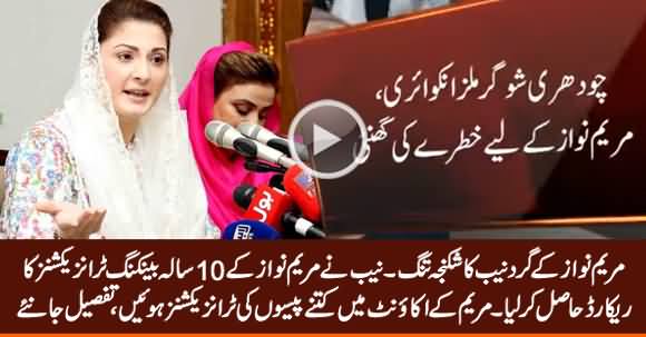 NAB Obtains Ten-Year Record of Maryam Nawaz's Bank Accounts