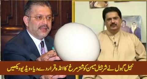 Nabil Gabol Ne Sharjeel Memon Ko Shutar Murgh Ka Anda Qarar De Diya