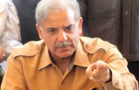 Nandipur Power Project will Start Producing Electricity in May - Shahbaz Sharif