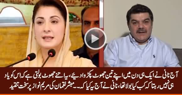 Nani Ke Kaarname, Nani Ke 3 Jhoot Pakre Gaye - Mubashir Luqman Criticizing Maryam Nawaz