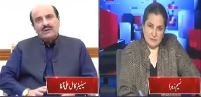 Nasim Zehra @ 8 (Govt Vs PML-Q | Rana Shamim Allegations) - 15th November 2021