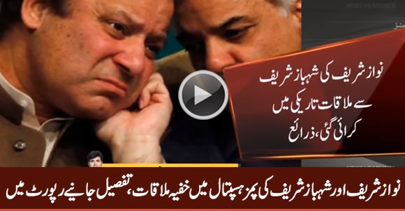 Nawaz And Shahbaz Sharif Secret Meeting in PIMS Hospital, Watch Details in Report