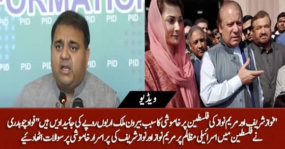 Nawaz Sharif And Maryam's Silence on Israeli Atrocities Is Because of Their Overseas Properties - Fawad Ch