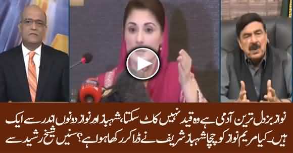 Nawaz Sharif Is Coward, Why Is Maryam Nawaz Silent? Listen Sheikh Rasheed