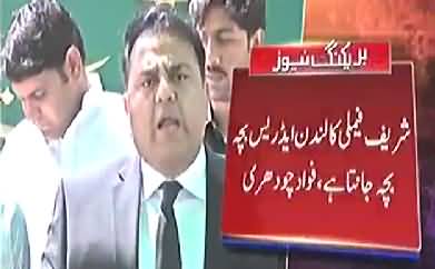 Sharif Family Ke Munshi Asif Kirmani Ko Adalat Mein Jhoot Bolne Per Arrest Kia Jaye - Fawad Chaudhry