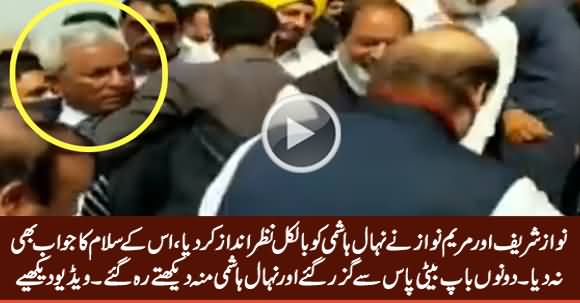 Nawaz Sharif & Maryam Nawaz Ignored Nehal Hashmi, Didn't Reply His Salam