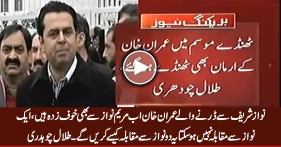 Nawaz Sharif Se Darne Waale Imran Khan Ab Maryam Se Bhi Khauf Zada Hain - Talal Chaudhry