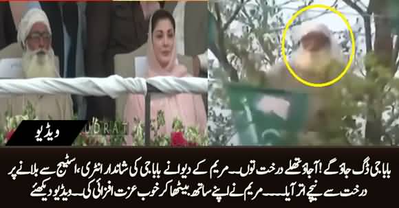 Old Man Climbed on Tree in AJK, Maryam Nawaz Called Him on Stage And Asked Him to Sit Beside Her