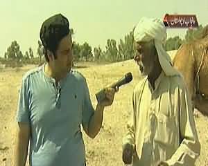 On The Front (Qehat Thar Se Cholistan Pahunch Gaya, Hakumat Be Khabar) – 18th March 2014