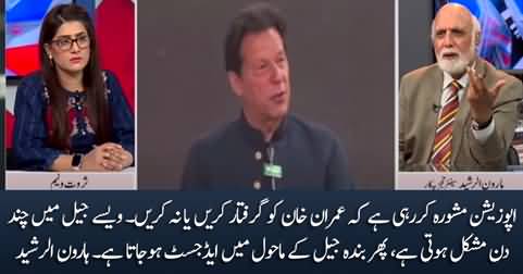 Opposition parties are considering to arrest Imran Khan - Haroon Rasheed