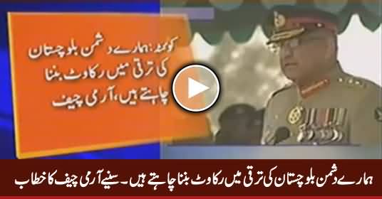 Our Enemies Are Trying to Halt Progress of Balochistan - Army Chief General Qamar Javed Bajwa