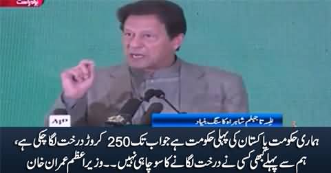 Our Govt Is The First Government Which Has Planted 250 Crore Trees - PM Imran Khan