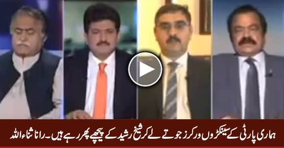 Our Party Workers Are Willing To Throw Shoe on Sheikh Rasheed - Rana Sanaullah