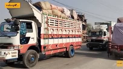 Pak-Afghan Trade Freeze: Borders Shut, Businesses Collapse - Latest Report