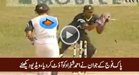 Pak Fauj Ke Jawan Ne Ahmad Shahzad Ko Out Kardiya, Watch Exclusive Video