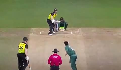 Pak vs Aus: David Warner Hit Double Bounce Ball For A Six | Mohammad Hafeez Ball To David Warner