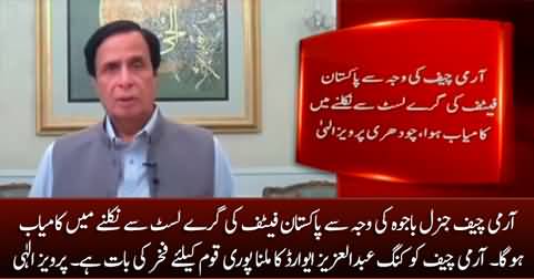 Pakistan came out of FATF's grey list due to Army Chief General Bajwa - Pervez Elahi