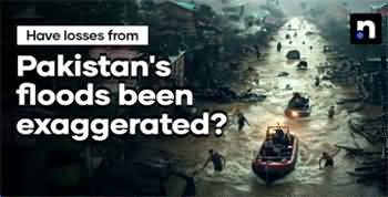 Pakistan's floods been exaggerated? Facts vs fearmongering...