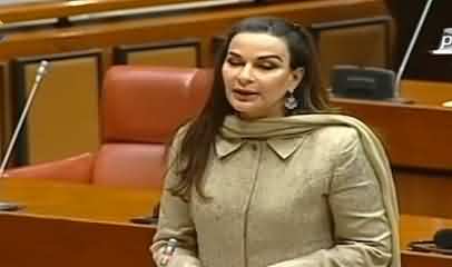 Pakistan Should Have Done More Diplomatic Efforts - Sherry Rehman Speech On Youm-E-Istehsal