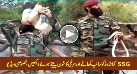 Pakistani SSG Commandos Ko Saanp Khate Aur Murghi Ka Khoon Peete Huwey Dekhein
