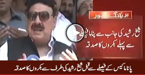 Panama Case Ke Faisle Se Pehle Sheikh Rasheed Ki Taraf Se Bakron Ka Sadqa