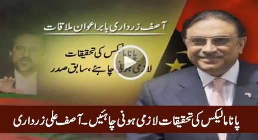 Panama Leaks Should Be Investigated At All Costs - Asif Ali Zardari