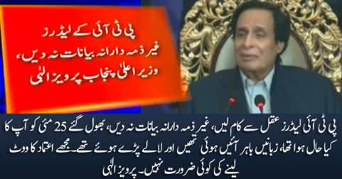Pervaiz Elahi bashes PTI leaders for asking him to take vote of confidence