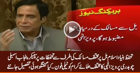 Pervez Elahi Contacts Religious Leaders Regarding Tahafuz e Bunyad e Islam Bill