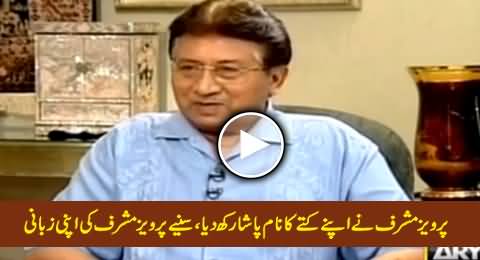 Pervez Musharraf Ne Apney Kuttay Ka Naam Pasha Rukh Diay, Sunye Musharraf Ki Zabani