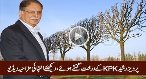 Pervez Rasheed Counting The Trees of KPK, Watch Hilarious Video