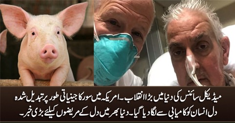 Pig's heart transplanted into human body: It's a revolutionary step in the field of medical science