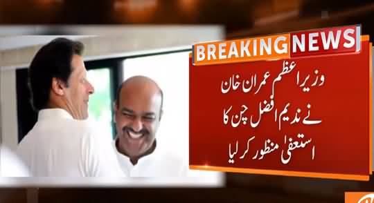 PM Imran Khan Accepts Resignation of Nadeem Afzal Chan