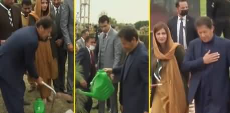 PM Imran Khan planting a tree at launching ceremony of Sprig plantation tree Drive 2022