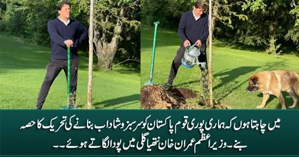 PM Imran Khan Plants Tree At Nathia Gali, Invites Nation To Be Part of Tree Plantation Campaign