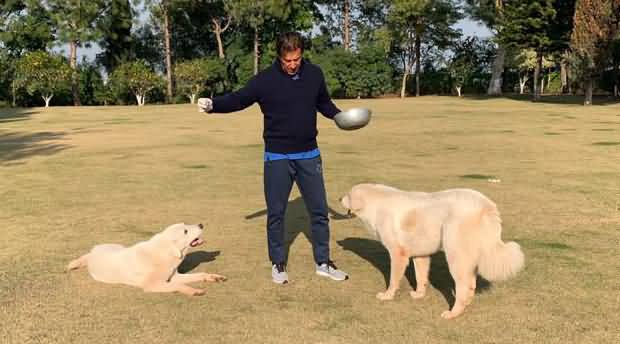 PM Imran Khan Relaxing & Having Fun With His Pets At Bani Gala