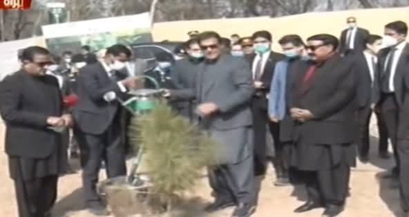 PM Imran Khan Starts Winter 2021 Tree Plantation Campaign