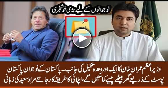 PM Khan Fulfills Promise of Generating Employment for Youth - Murad Saeed Tells Details