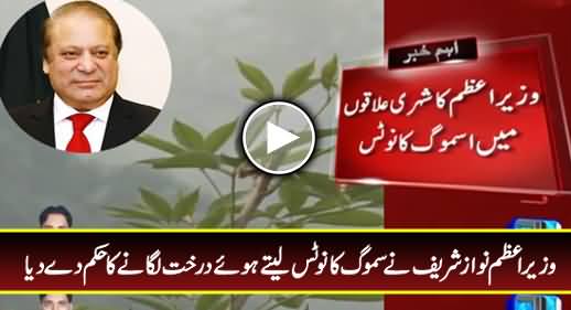 PM Nawaz Sharif Order To Plant Trees Taking Notice of SMOG
