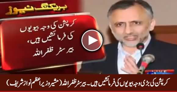 PM Nawaz Sharif's Adviser Barrister Zafarullah Tells Amazing Reason of Corruption