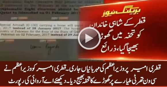 PM Nawaz Sharif Sent A Gift of Horse on C130 To Qatari Ameer - ARY Report