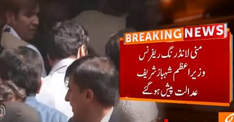 PM Shahbaz Sharif And CM Hamza Shahbaz Appear Before Court
