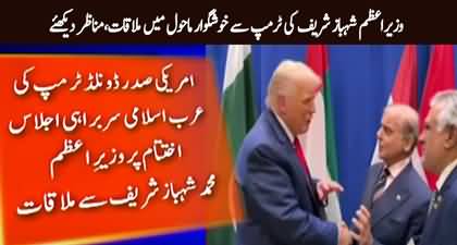 PM Shahbaz Sharif meets Donald Trump in New York