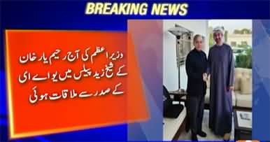 PM Shehbaz meets UAE president in Rahim Yar Khan, pledges to elevate bilateral ties