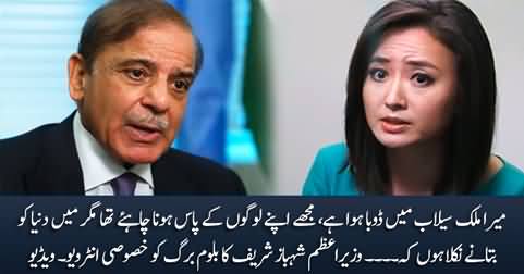 PM Shehbaz Sharif's Exclusive interview with Shery Ahn on Bloomberg in New York