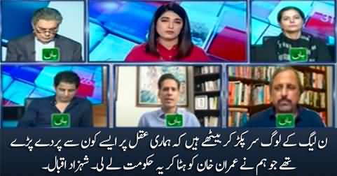 PML-N leaders are regretting badly why they took this government - Shehzad Iqbal