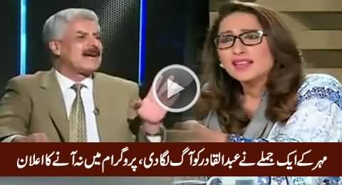 PMLN Abdul Qadir Baloch Really Got Angry on Mehar Abbasi on Her Sentence