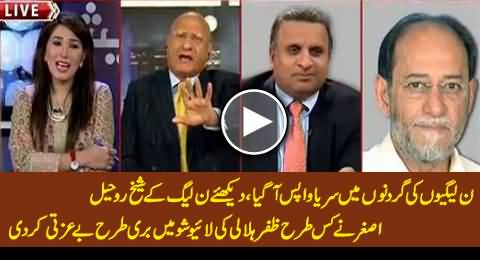 PMLN Arrogant Attitude Back: Watch How Sheikh Rohail Asghar Insulted Zafar Hilaly in Live Show